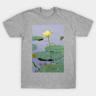 water lily T-Shirt